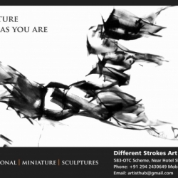 different-strokes-art-gallery-rakesh-singh